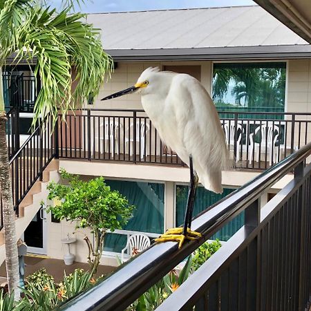 Caribbean Beach Club Fort Myers Beach Buitenkant foto